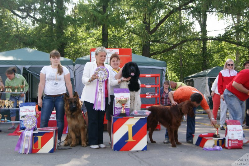 Фотография № 155985