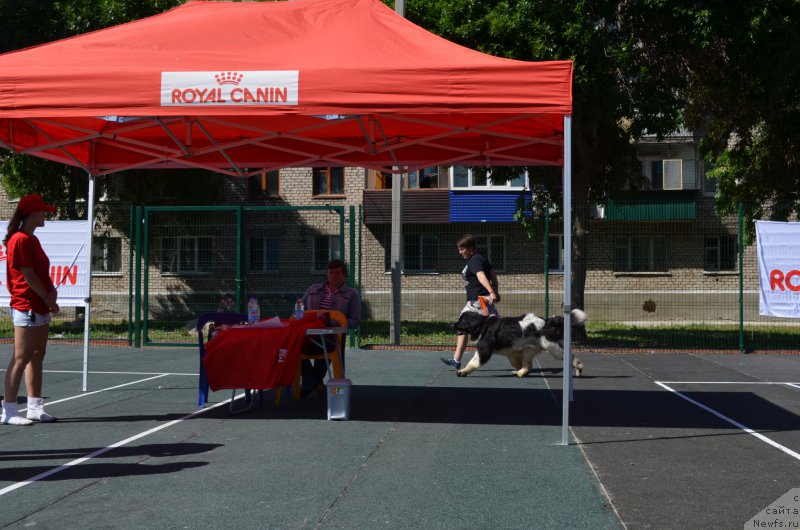 Фото: Natal'ya Kiselyova (Наталья Киселёва)