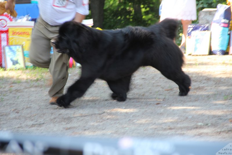 Фотография № 156027