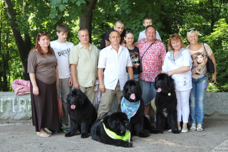 Фото: ньюфаундленд Angel of Love, ньюфаундленд Beguschaya po Volnam Hasta la Vista (Бегущая по Волнам Хаста ла Виста), ньюфаундленд Allegro Con Brio Dinastiya Soverchenstva (Аллегро Кон Брио Династия Совершенства), Angel Khranitel Vernon, Natal'ya Fedosova (Наталья Федосова)