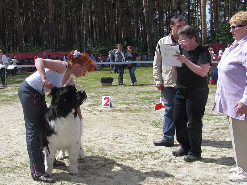 Фотография № 156035