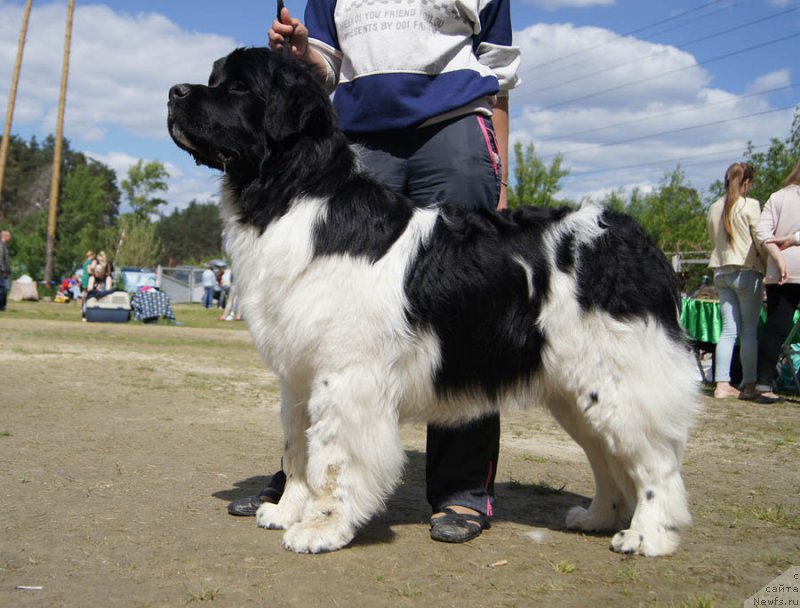 Фотография № 156063