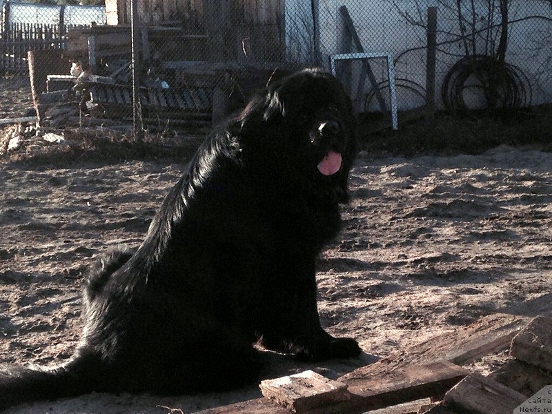 Фотография № 156074