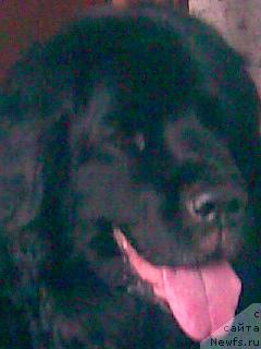 Фото: Aleksandrovich Kononenko (Александрович Кононенко)