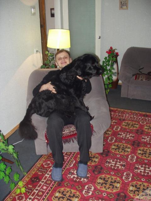 Фото: Aleksandrovich Kononenko (Александрович Кононенко)