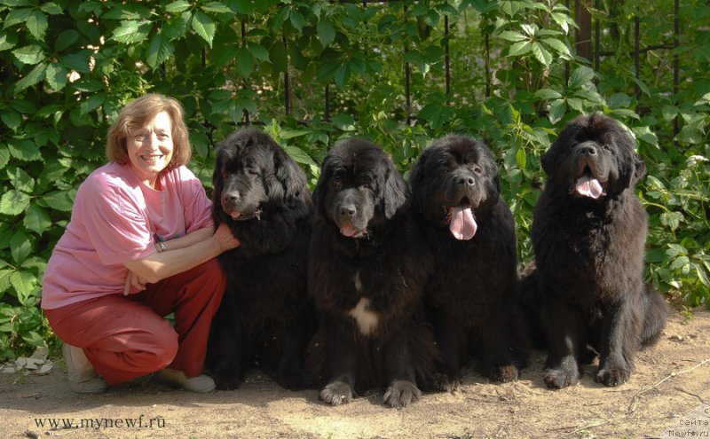 Фотография № 156100