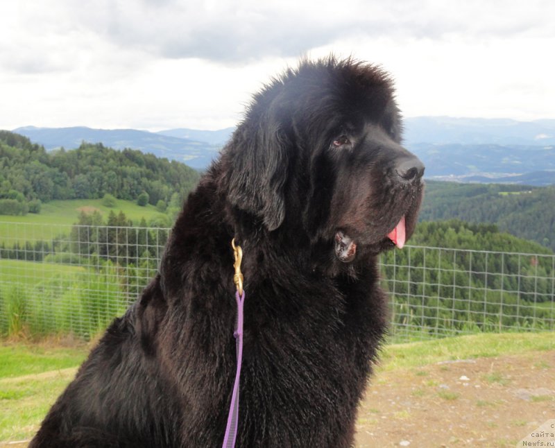 Фотография № 156101