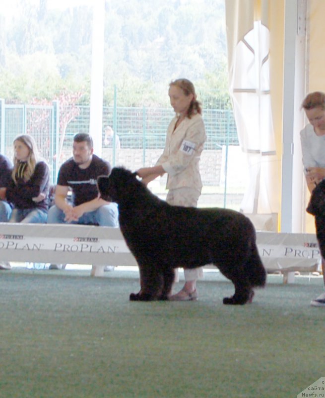 Фотография № 156103