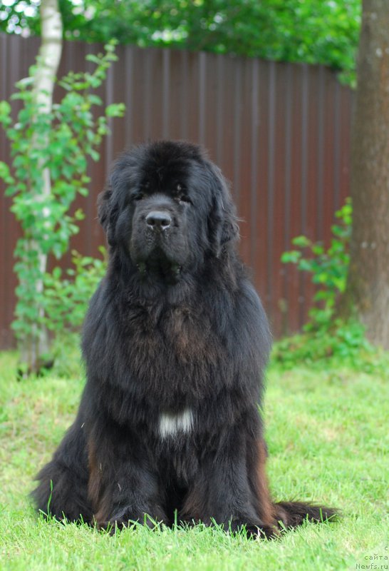 Фотография № 156135