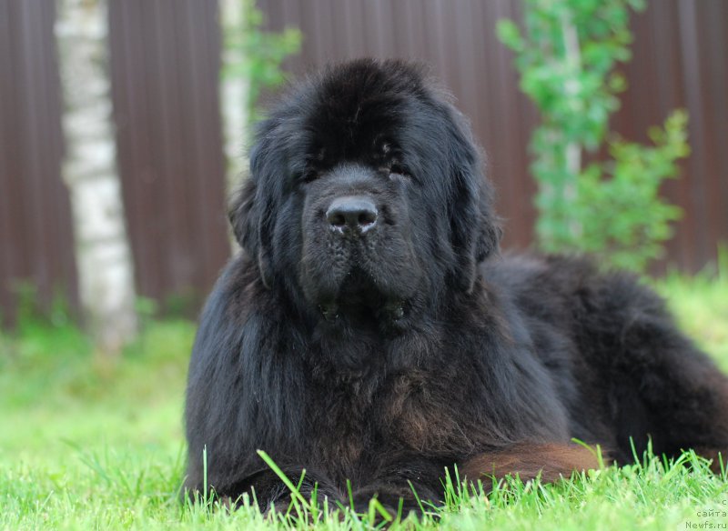 Фотография № 156136