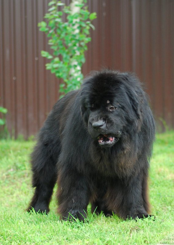 Фотография № 156143