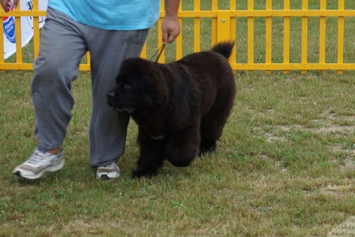 Фотография № 156151