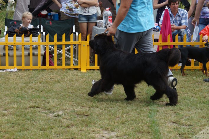 Фотография № 156153