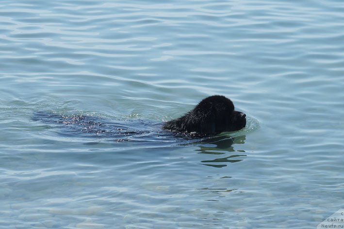 Фотография № 156156