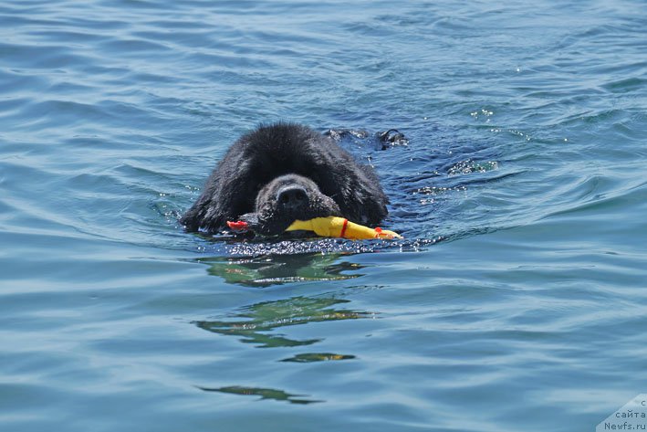 Фотография № 156157