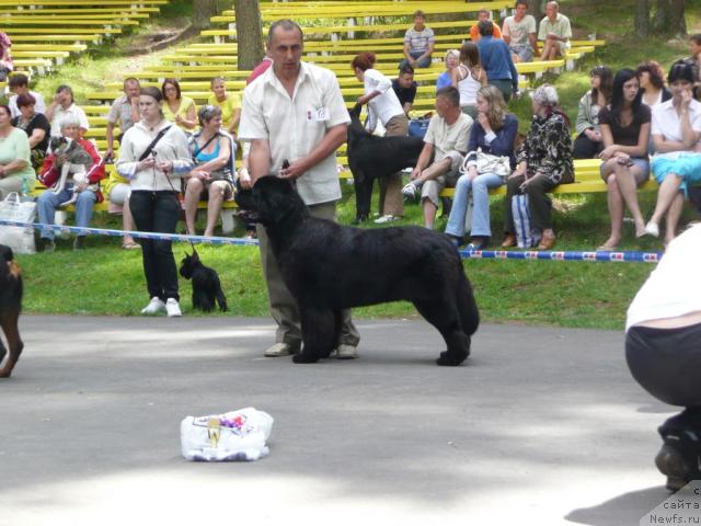 Фотография № 15616