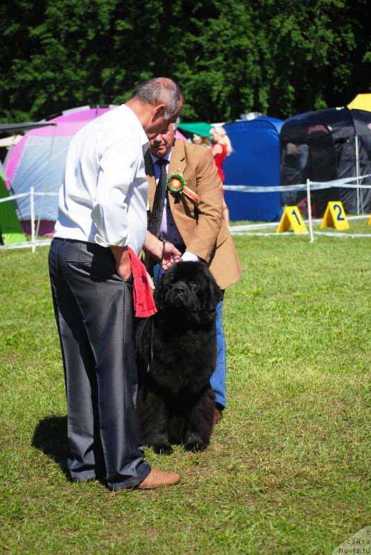 Фотография № 156166