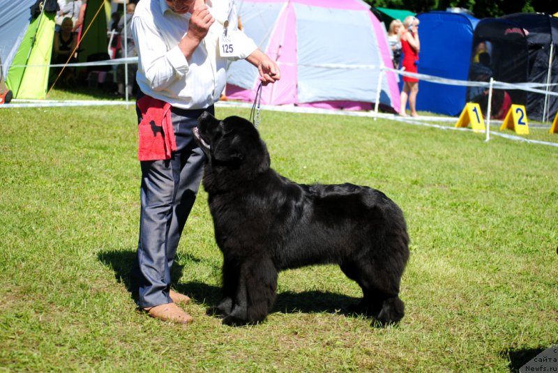 Фотография № 156167