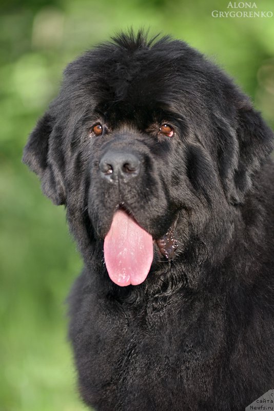 Фотография № 156169