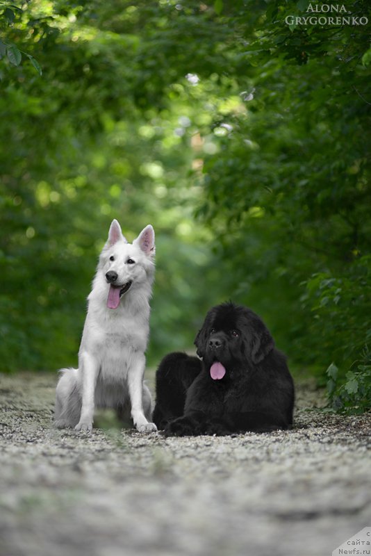 Фотография № 156170