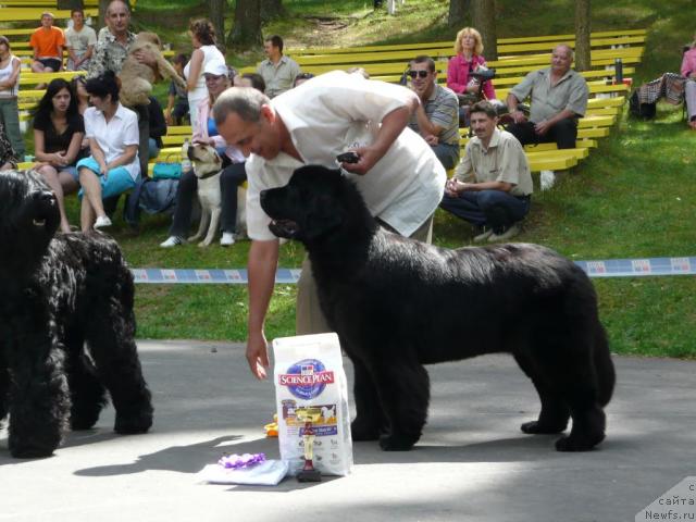 Фотография № 15618