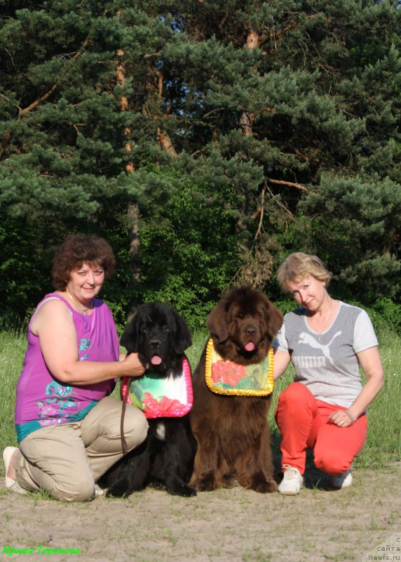Фото: Elena SHmeleva (Елена Шмелева), ньюфаундленд Mercedes Vialiki Miadzvedz (Мерседес Вялiкi Мядзведзь), ньюфаундленд Newettas Vanessa, Galina Vilpo (Галина Вилпо)