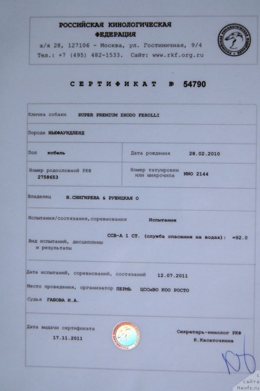 Фото: ньюфаундленд Super Premium Zhodo Ferolli (Супер Премиум Жодо Феролли)