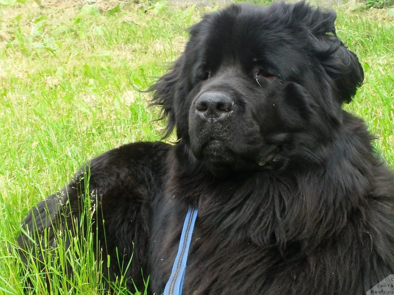 Фотография № 156243