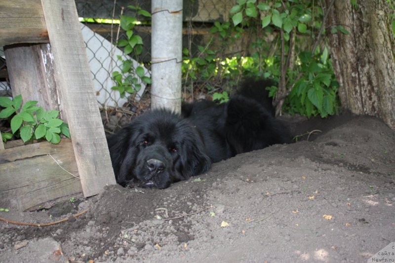 Фотография № 156292