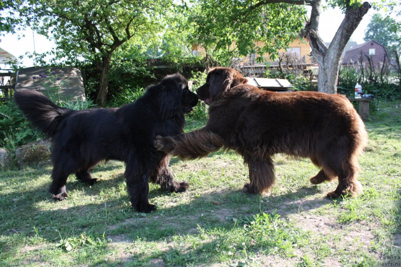 Фотография № 156293