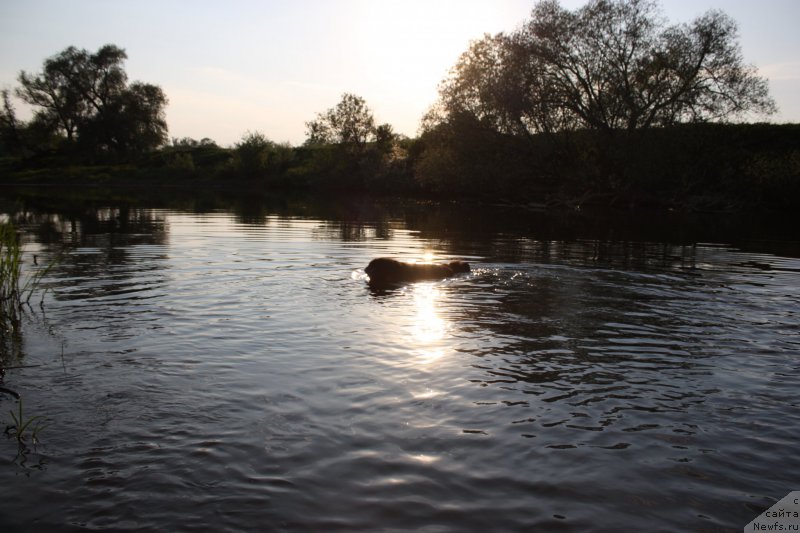 Фотография № 156295