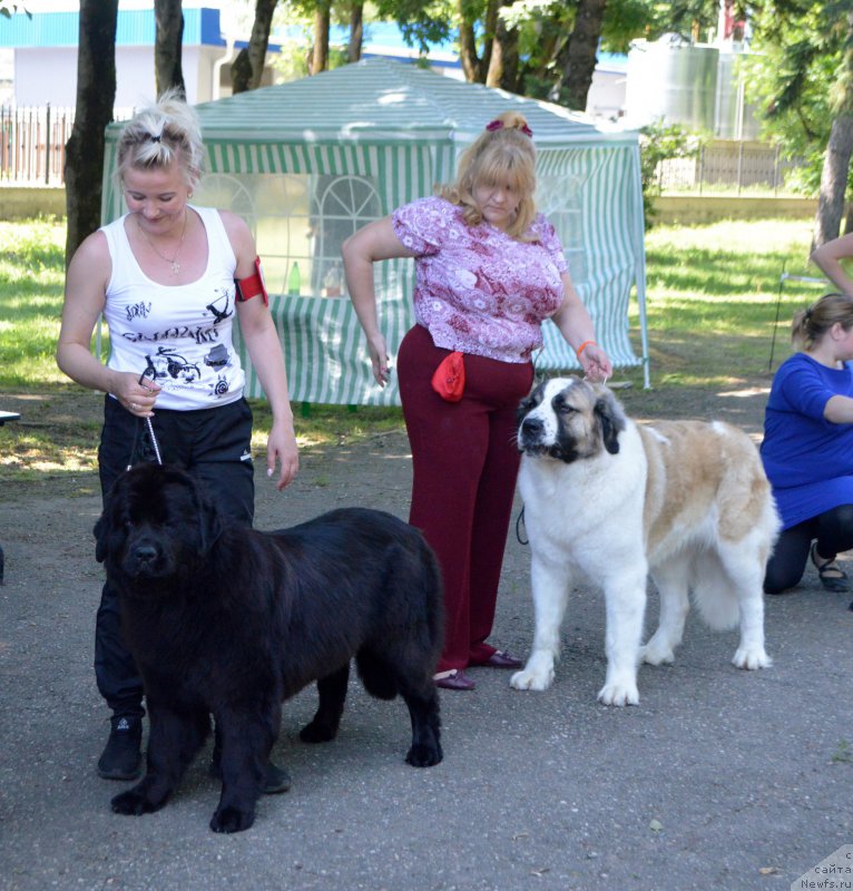 Фотография № 156296