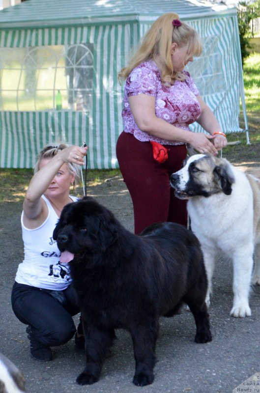 Фотография № 156297