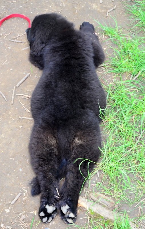 Фотография № 156299