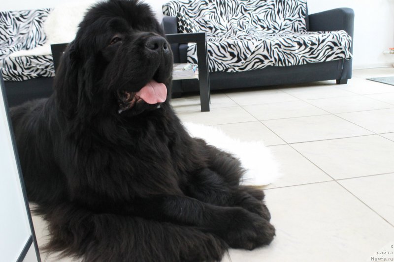 Фотография № 156333