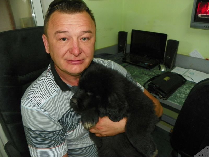 Фотография № 156337