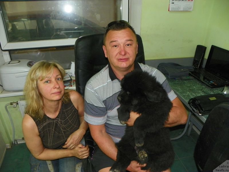 Фотография № 156341