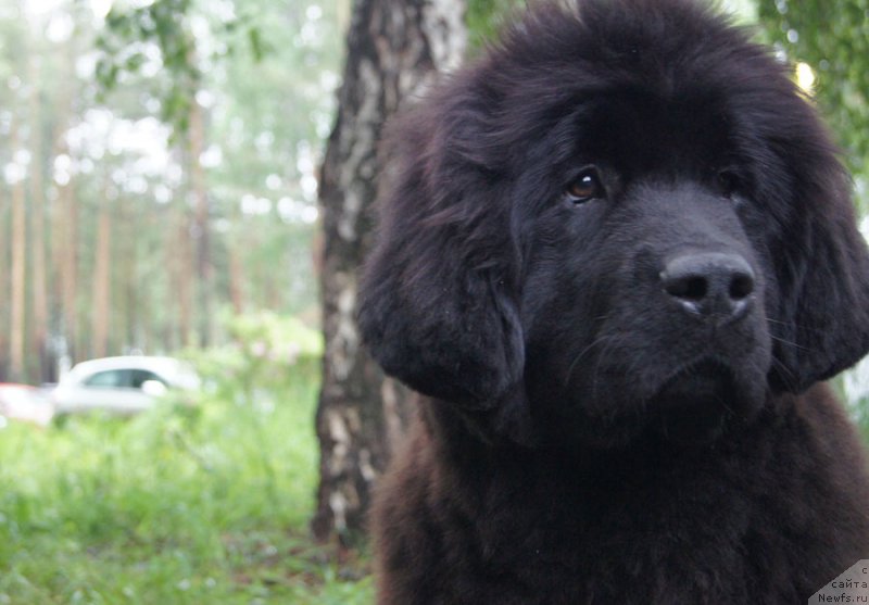 Фотография № 156352