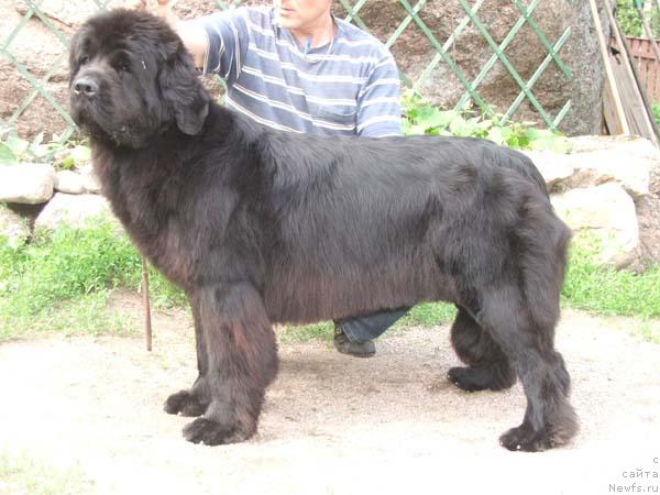 Фотография № 15636