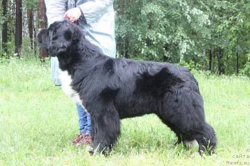 Фотография № 156385