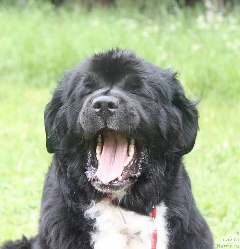 Фотография № 156386