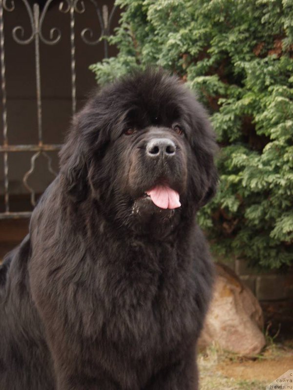 Фотография № 156396