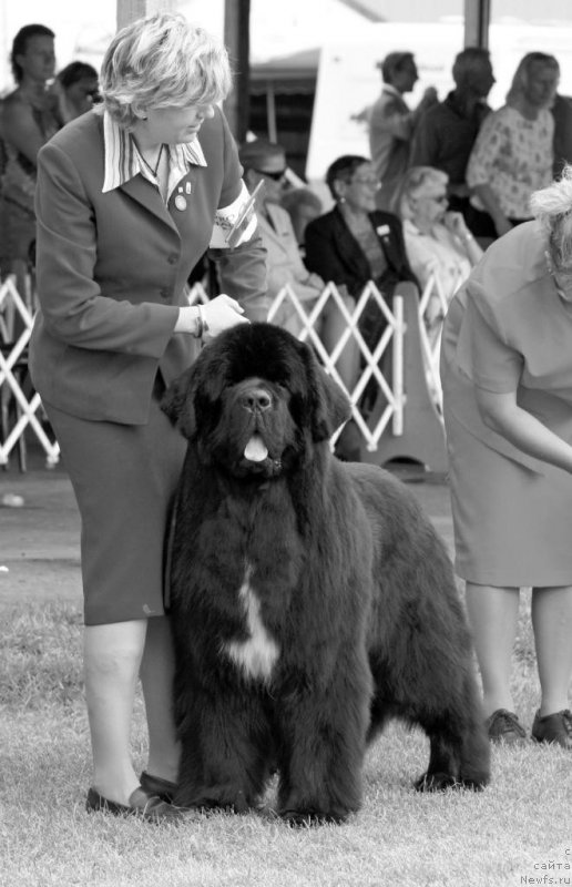 Фото: Sunvalley Petition Pouch Cove