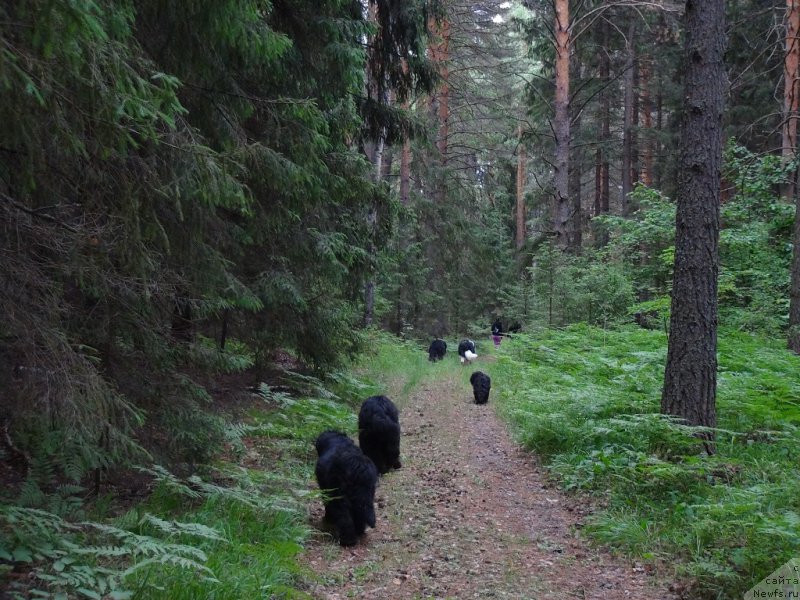 Фотография № 156406