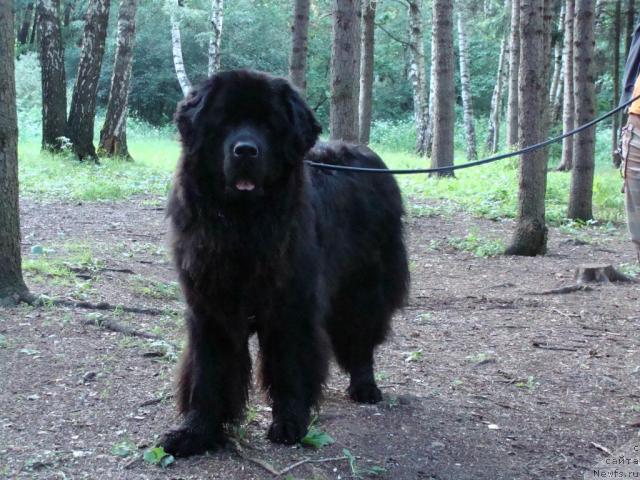 Фотография № 15644