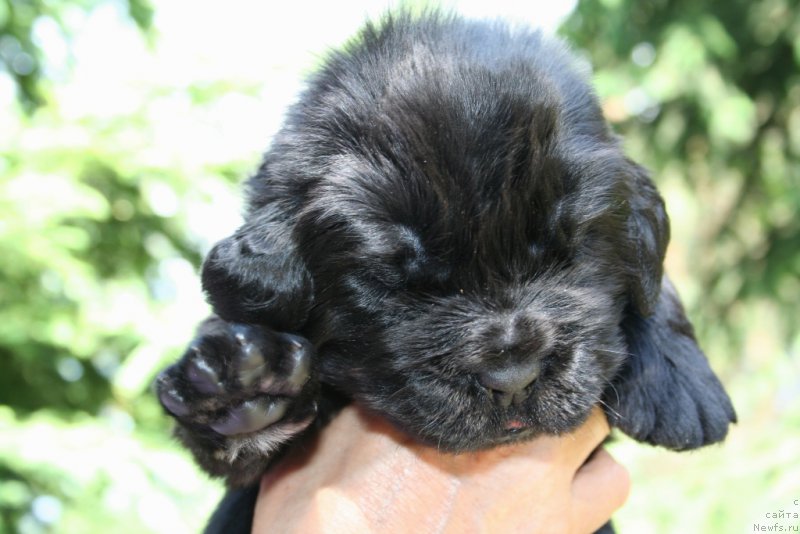 Фотография № 156442