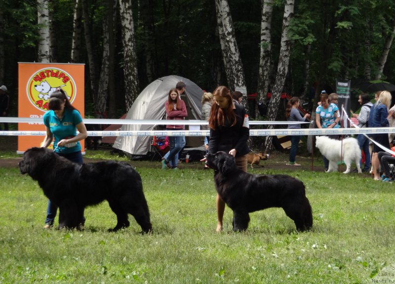 Фотография № 156458