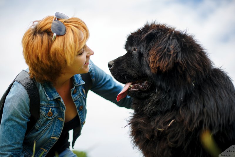 Фотография № 156481