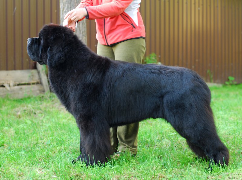 Фотография № 156483