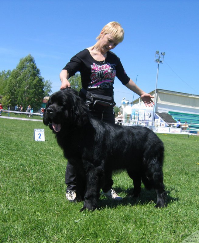 Фотография № 156493